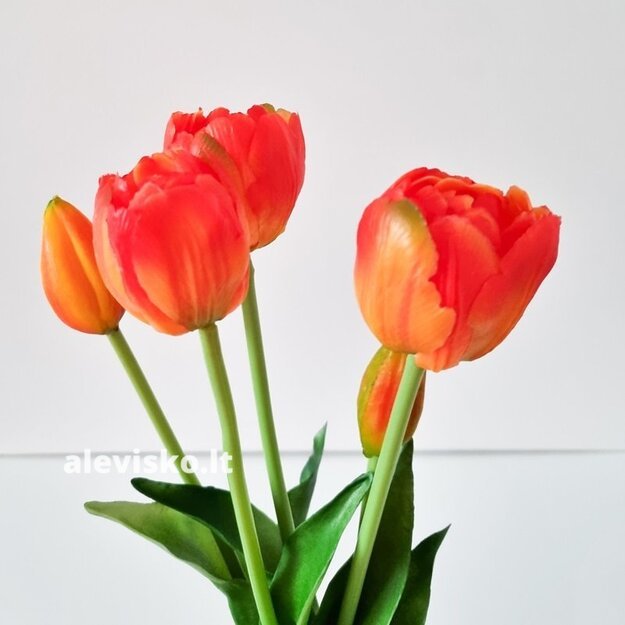 Silikoninės tulpės (pilnavidurės), oranžinės sp.