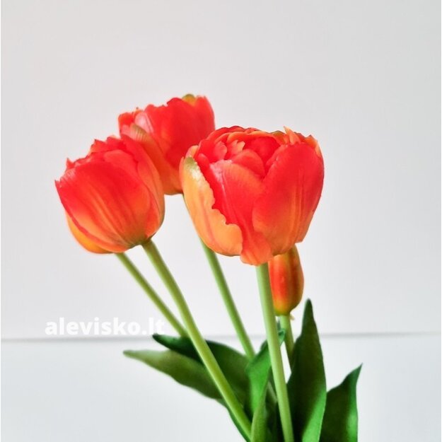 Silikoninės tulpės (pilnavidurės), oranžinės sp.