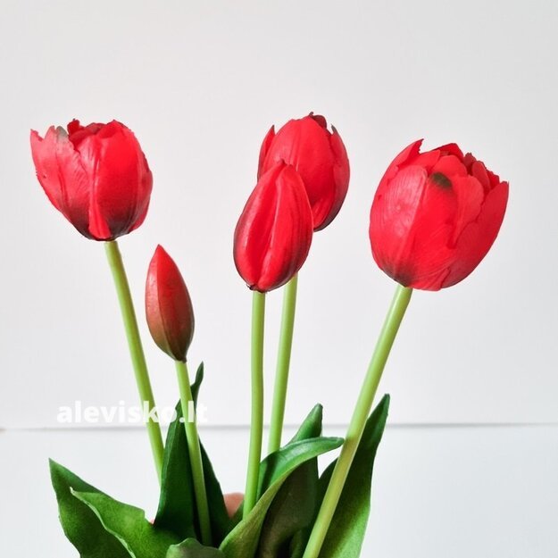Silikoninės tulpės (pilnavidurės), raudonos sp.