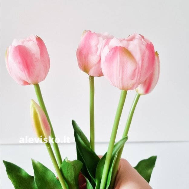 Silikoninės tulpės (pilnavidurės), švelniai rožinės sp.