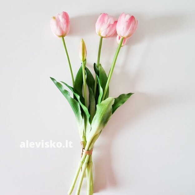 Silikoninės tulpės (pilnavidurės), švelniai rožinės sp.